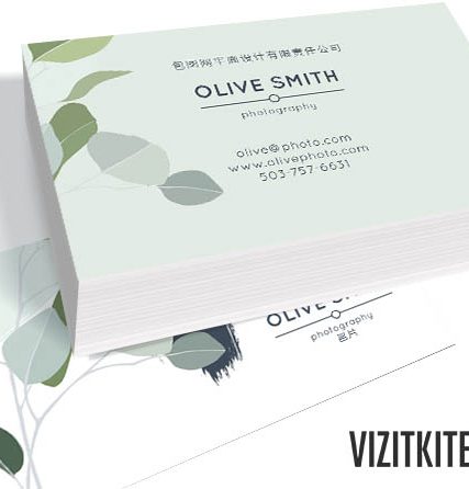 Визитка 00291
